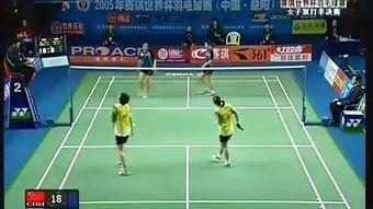 羽毛球李玲蔚教学视频