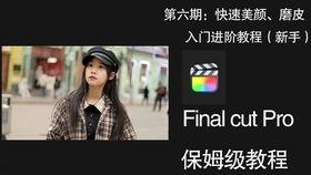 免费摄影教程视频