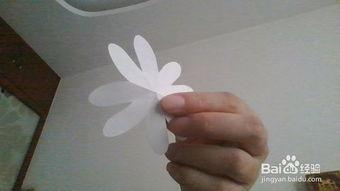 剪花纸教程视频,轻松掌握传统剪纸艺术