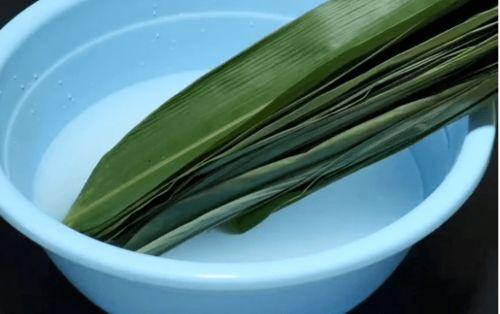 小粽叶怎么包粽子视频,小粽叶巧手包出美味粽子