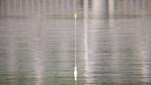 滑标钓法教学视频,轻松掌握高效钓鱼技巧