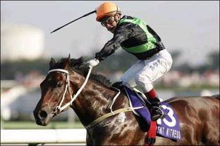 马王精英大师比赛视频,速度与激情的巅峰对决