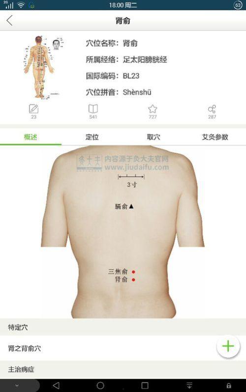 肾俞穴视频,揭秘肾脏健康的关键穴位